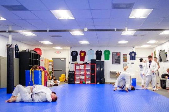 Image 2 from Gracie Martial Arts Tampa partner gallery