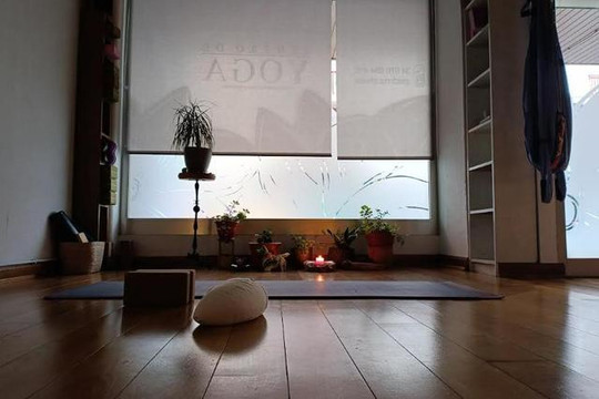 Imagen 3 de la galería del partner Centro de Yoga Padma Shala