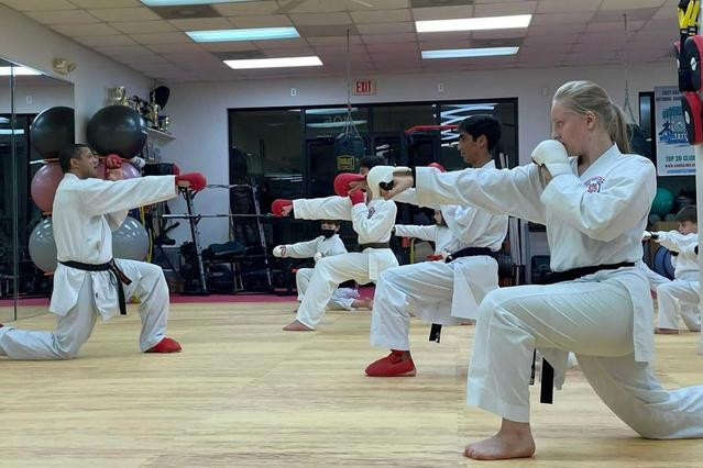 Triangle's Best Karate