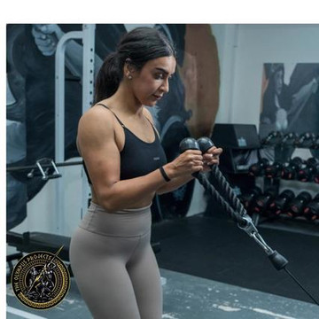 Image 2 from The Olympus Projects partner gallery