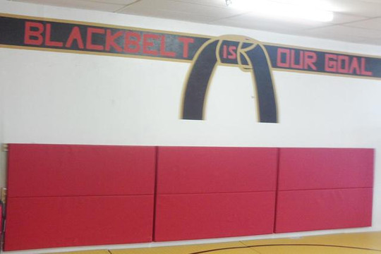 Image 1 from World Class Karate partner gallery