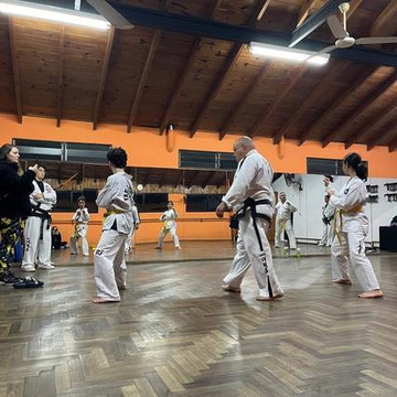 Imagen 2 de la galería del partner Escuela de Taekwondo Walter Lee