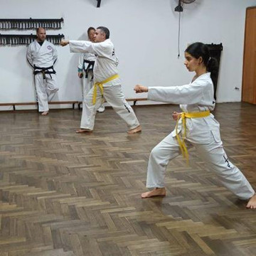 Imagen 3 de la galería del partner Escuela de Taekwondo Walter Lee