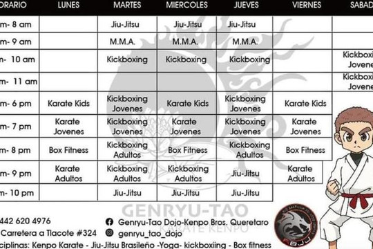 Imagen 1 de la galería del partner Genryu-Tao Karate kenpo