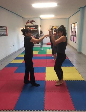 Imagen 3 de la galería del partner Genryu-Tao Karate kenpo
