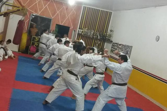 Imagem 2 da galeria do parceiro Escola de Artes Marciais Aski
