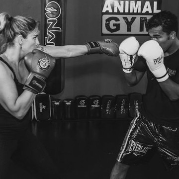 Imagem 2 da galeria do parceiro CrossFit AG | ANIMAL GYM