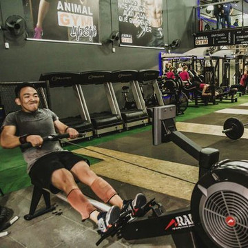 Imagem 3 da galeria do parceiro CrossFit AG | ANIMAL GYM