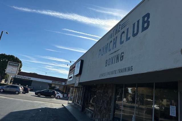The Punch Club Mar Vista