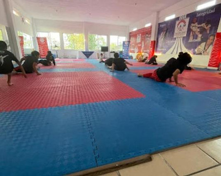 Imagen 1 de la galería del partner UTAM Victoria