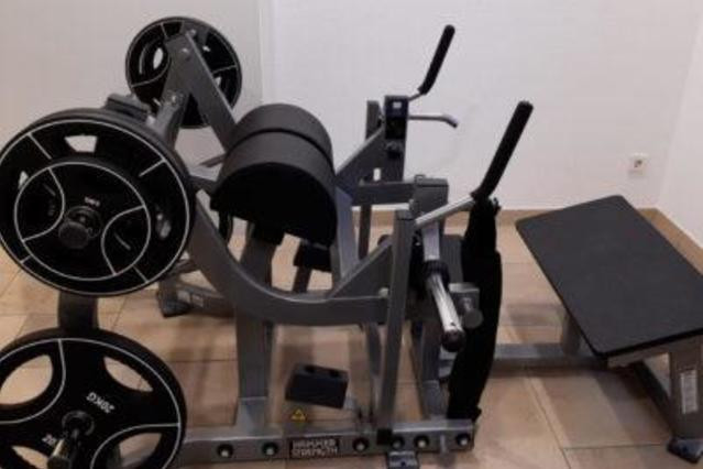Lewey Training Thalmässing