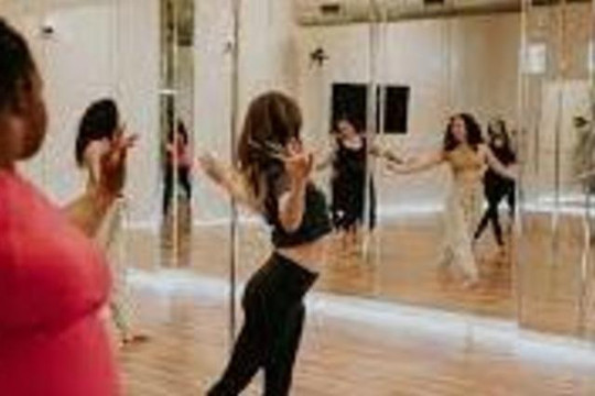 Image 1 from Sankalpa Pole Fitness partner gallery