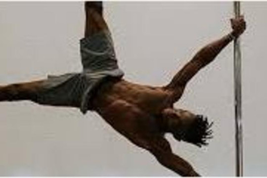 Image 3 from Sankalpa Pole Fitness partner gallery