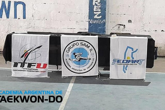 Imagen 3 de la galería del partner Academia Argentina de Taekwon-Do