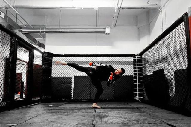 Warrior Evolution MMA