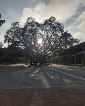 Imagem 3 da galeria do parceiro DeRose Method Ibira