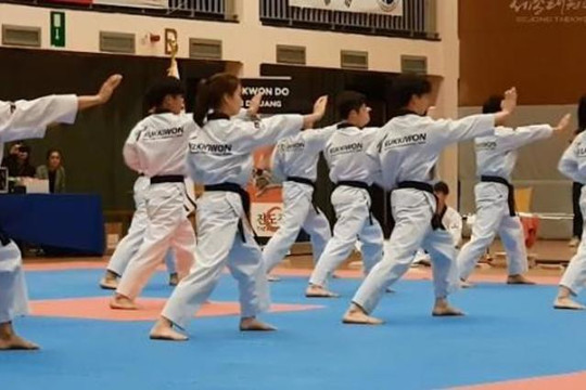 Imagen 3 de la galería del partner Richard Chun Taekwondo México Krystal