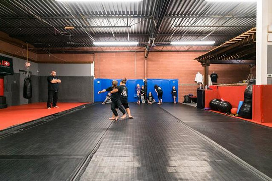 Image 1 from The Martial Arts Laboratory - McKinney partner gallery