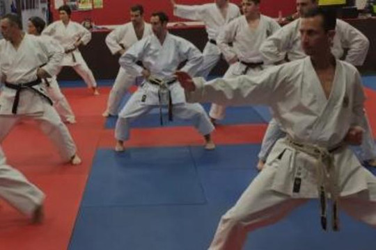 Image 3 from Warren Levi Martial Arts and Fitness partner gallery