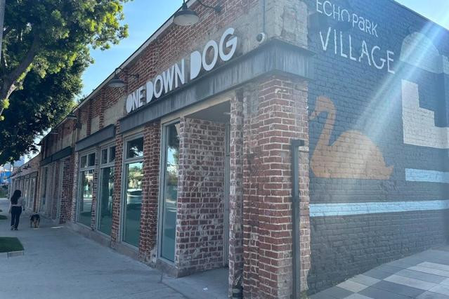 One Down Dog - Echo Park