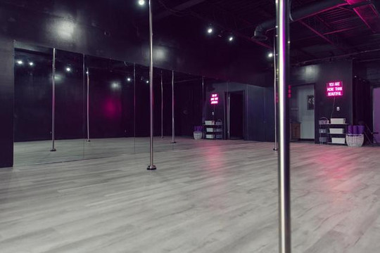 Image 1 from Selenite Studio Pole Fitness South partner gallery