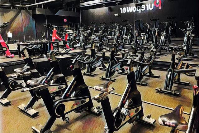 Pure Fitness