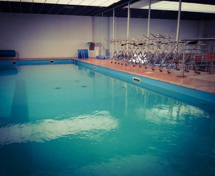 Immagine 1 dalla galleria del partner Palestra e Piscina - Centro Sportivo Nautilus