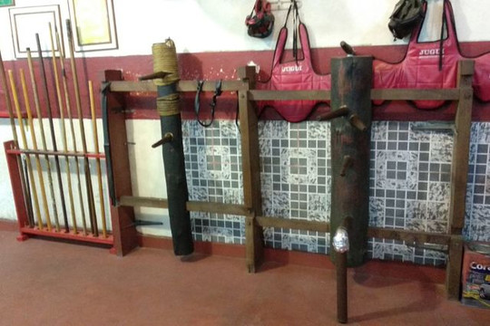 Imagem 3 da galeria do parceiro Associação kung fu garra de águia lily Lau Brasil