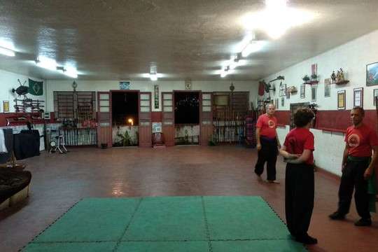 Imagem 1 da galeria do parceiro Associação kung fu garra de águia lily Lau Brasil