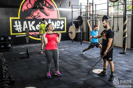 Imagem 2 da galeria do parceiro Dinos Crossfit Timotéo