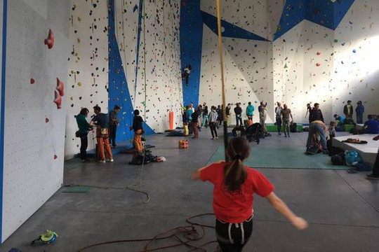 Immagine 2 dalla galleria del partner BigWalls