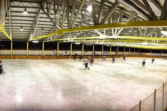 Immagine 3 dalla galleria del partner Palaghiaccio Le Pinete