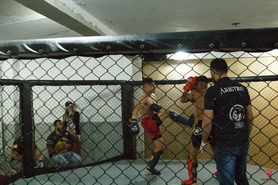 Imagem 1 da galeria do parceiro Brutus Centro de Treinamento