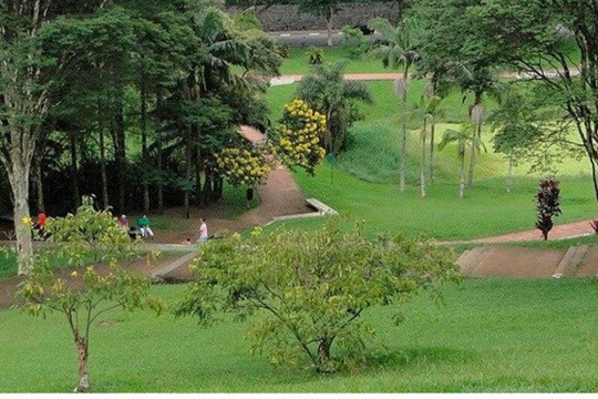Imagem 1 da galeria do parceiro Treino Exato - Morumbi