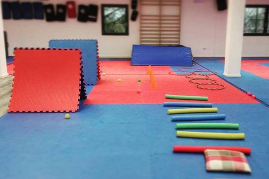 Immagine 1 dalla galleria del partner Physical Evolution