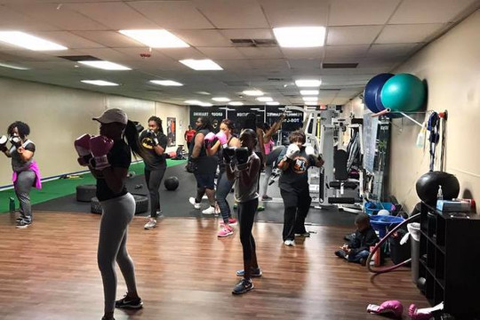 Image 2 from The Trainers' Workshop partner gallery