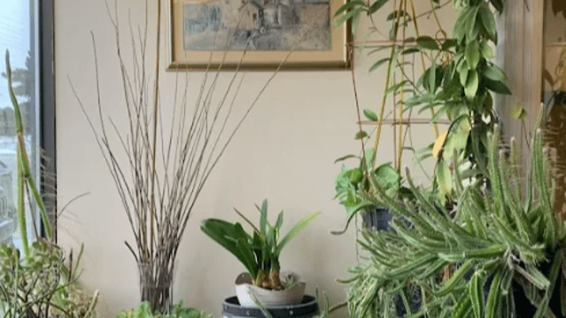 Image 3 from Hot Yoga Wellness Concord partner gallery