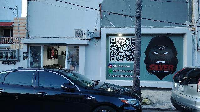 Imagen 2 de la galería del partner SilverBOCA