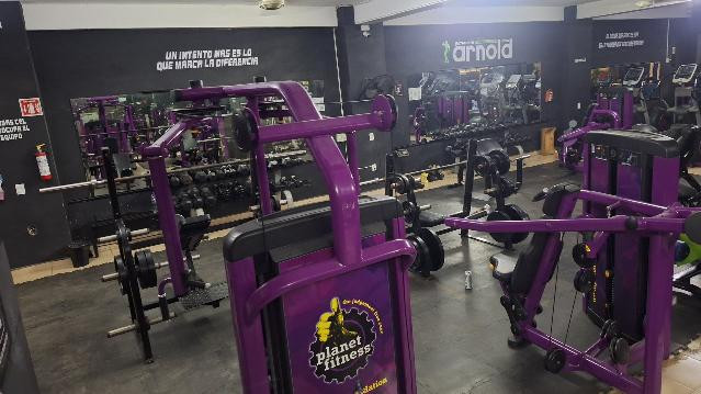 Imagen 2 de la galería del partner Arnold Gym Jr.
