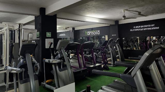 Imagen 1 de la galería del partner Arnold Gym Jr.