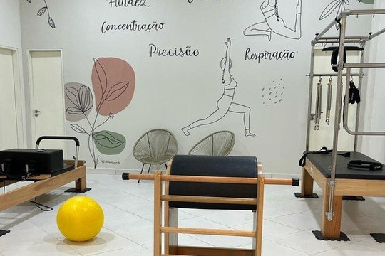 Imagem 1 da galeria do parceiro STUDIO FORM FISIOTERAPIA E PILATES