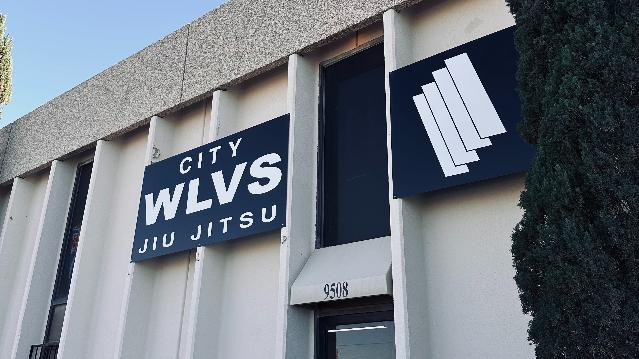 Image 2 from City Wolves Jiujitsu partner gallery