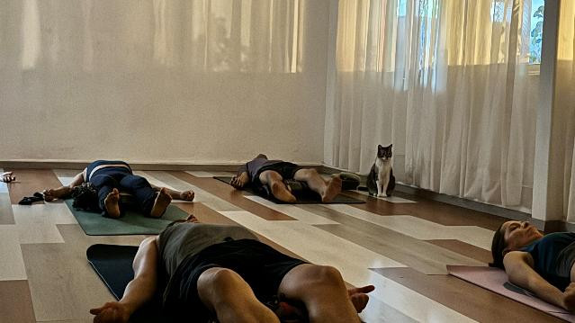 Imagen 3 de la galería del partner Tribu Distrito Yoga