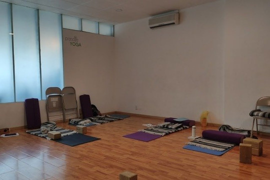 Imagen 1 de la galería del partner Pasaje Yoga