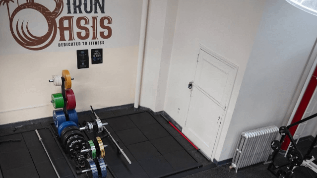 Image 3 from Iron Oasis partner gallery