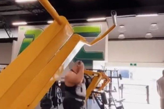 Imagem 3 da galeria do parceiro AFC - Academia de Musculação AFC 24h