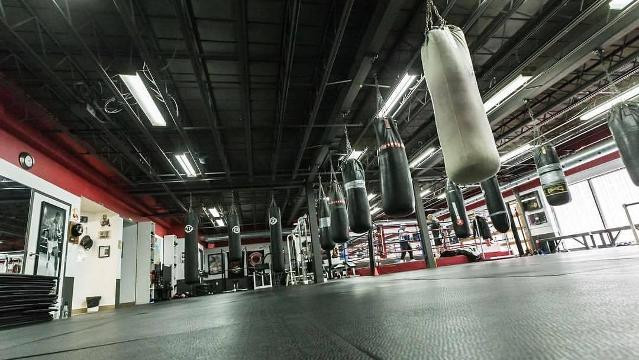 Image 1 from Centre Ring partner gallery