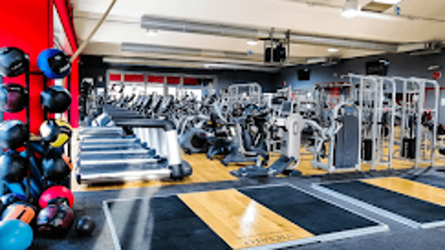 Immagine 1 dalla galleria del partner Iron Hill Gym Colleferro