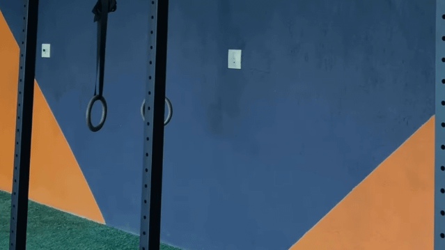 Imagem 3 da galeria do parceiro Alcateia CF