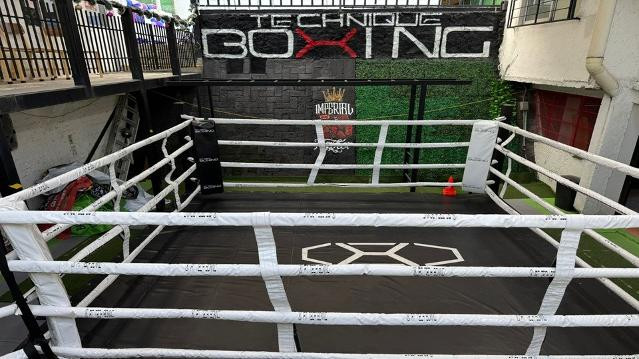 Imagen 1 de la galería del partner Technique Boxing Gym